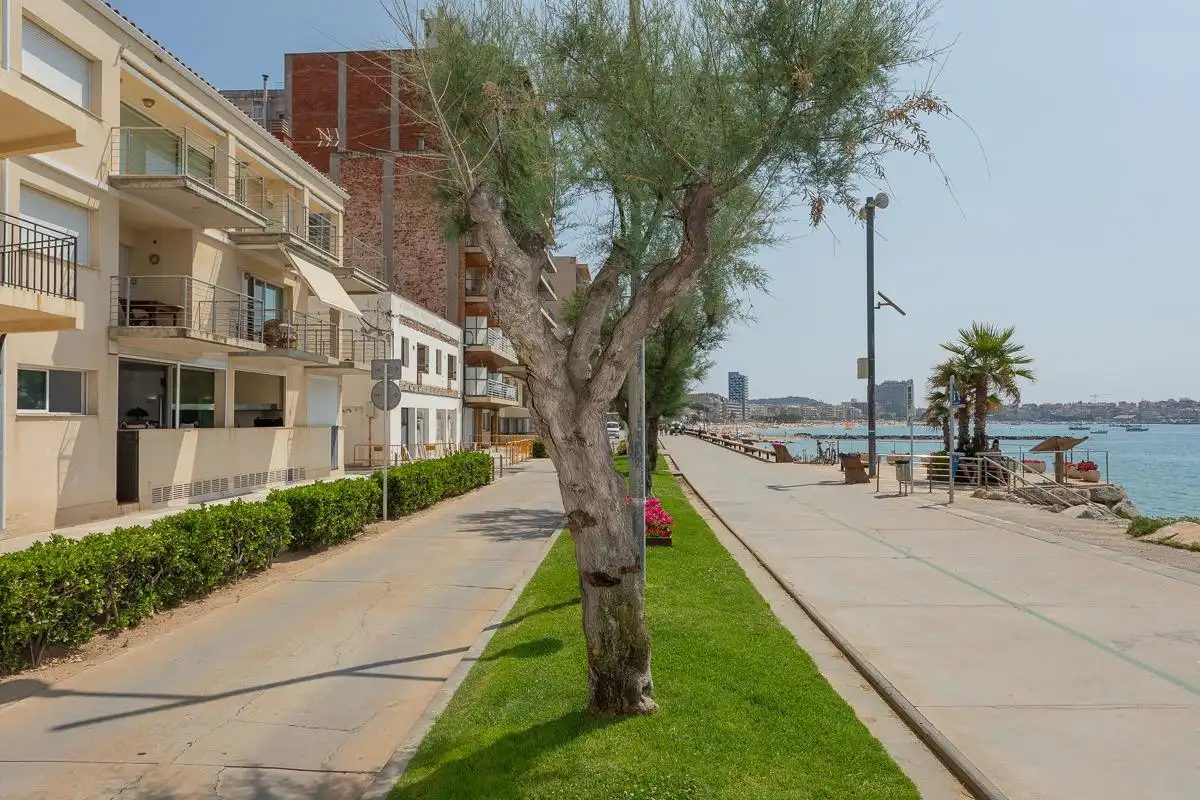 Vista exterior de Planta baixa de lloguer en Calonge i Sant Antoni