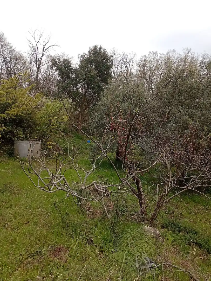 Terreni e lotti in vendita a Valverde de la Vera, imagen 38