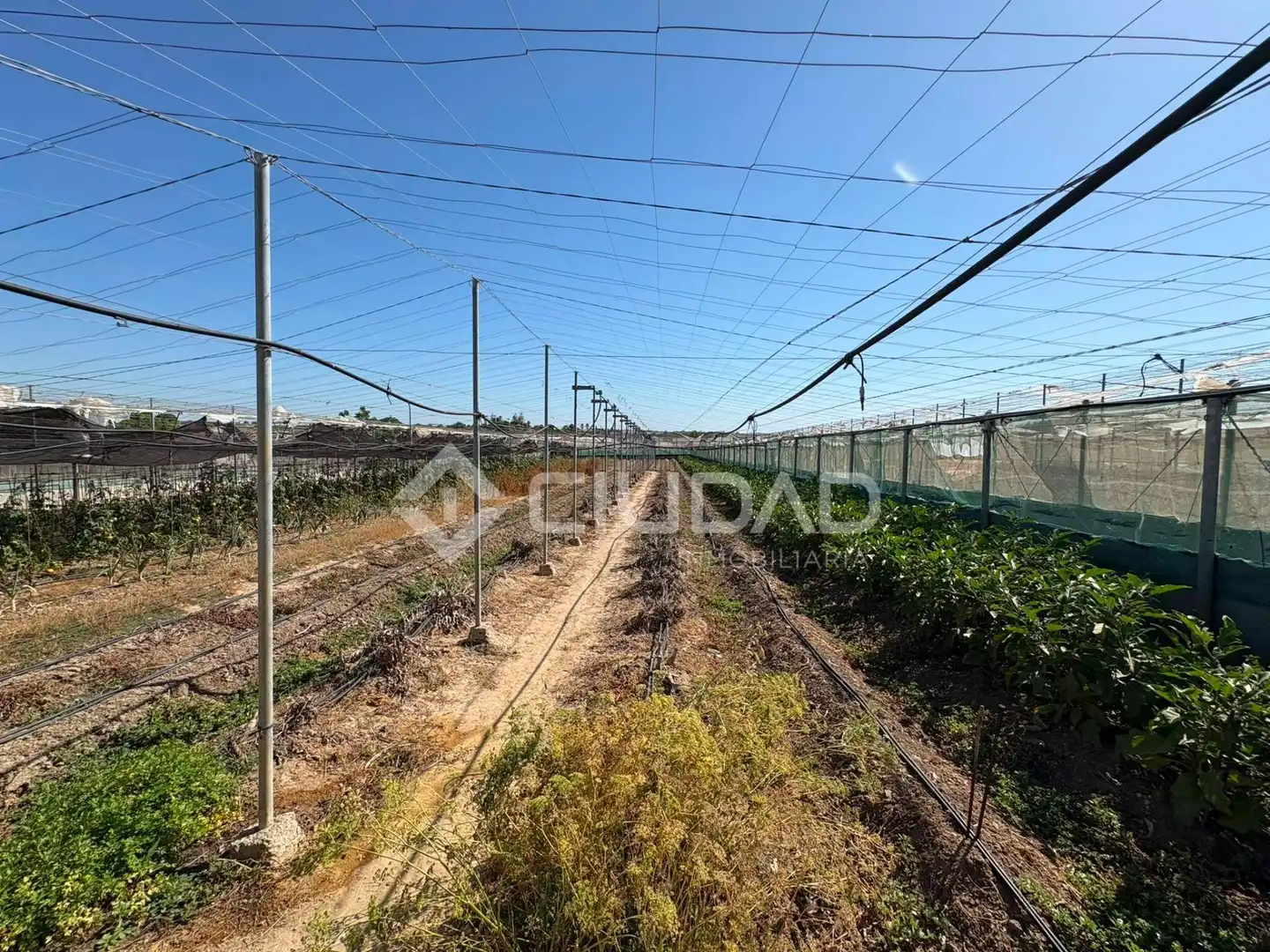 Terreno en venta en Sanlúcar de Barrameda