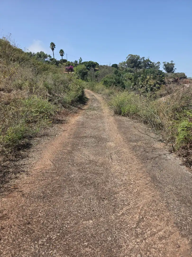 Rural land for sale in Camino las Peñuelas 11, imagen 41