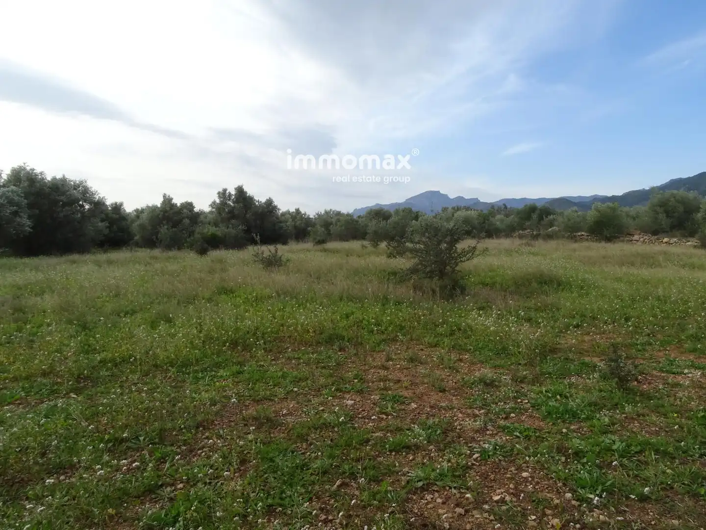 Terrain résidentiel à vendre à 16, imagen 3