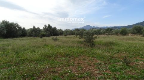 Finca rústica en venta en Xerta con dos casetas, imatge 3