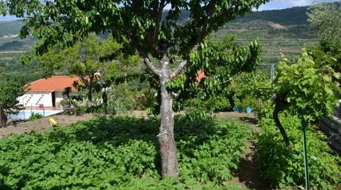 Foto 4 von Haus oder Chalet zum Verkauf in Calle Cervantes, Cabrero, Cáceres
