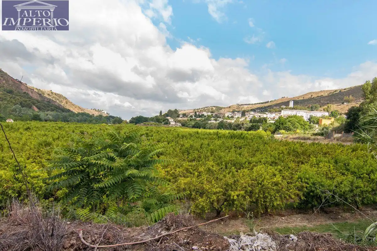 Vista exterior de Finca rústica en venta en Granada