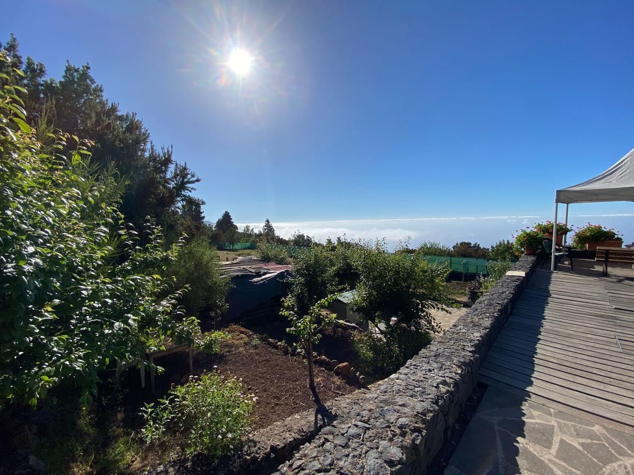 Garden of House or chalet for sale in La Orotava  with Heating, Private garden and Terrace