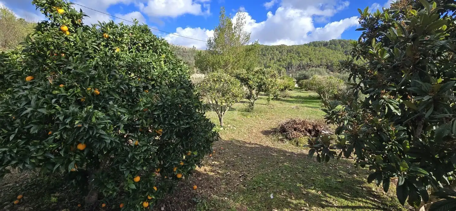 Casa rústica con jardín en venta en Andratx pueblo, imagen 4