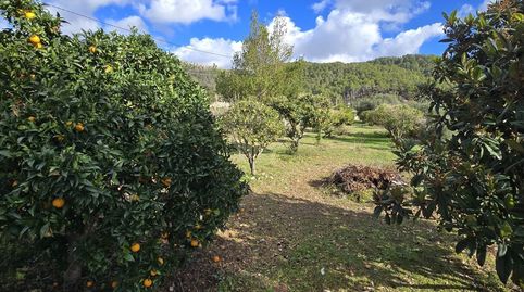 Foto 4 de Finca rústica en venta en Andratx pueblo, Andratx