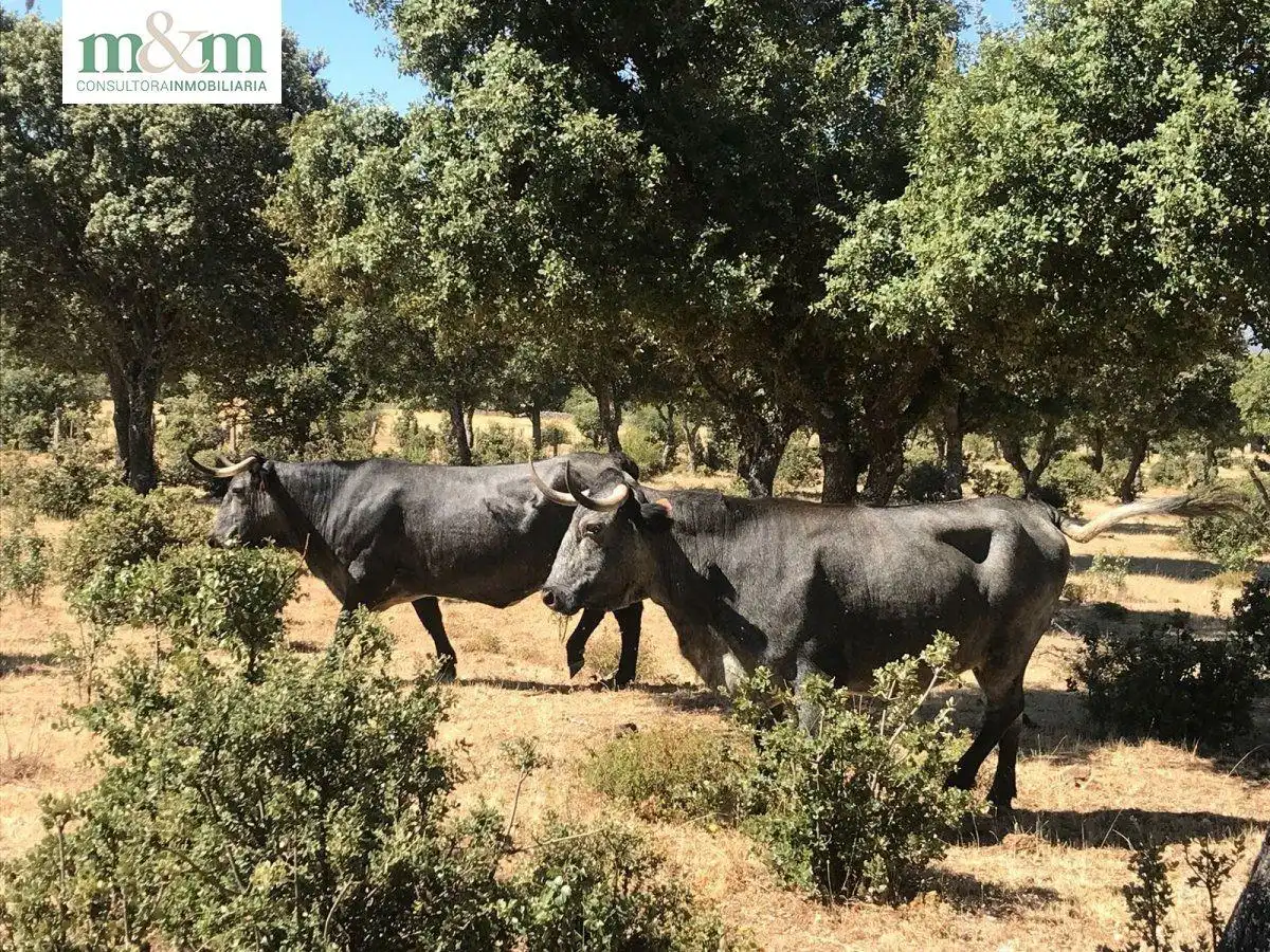 Casa amb jardí en venda a Frades de la Sierra, imagen 51