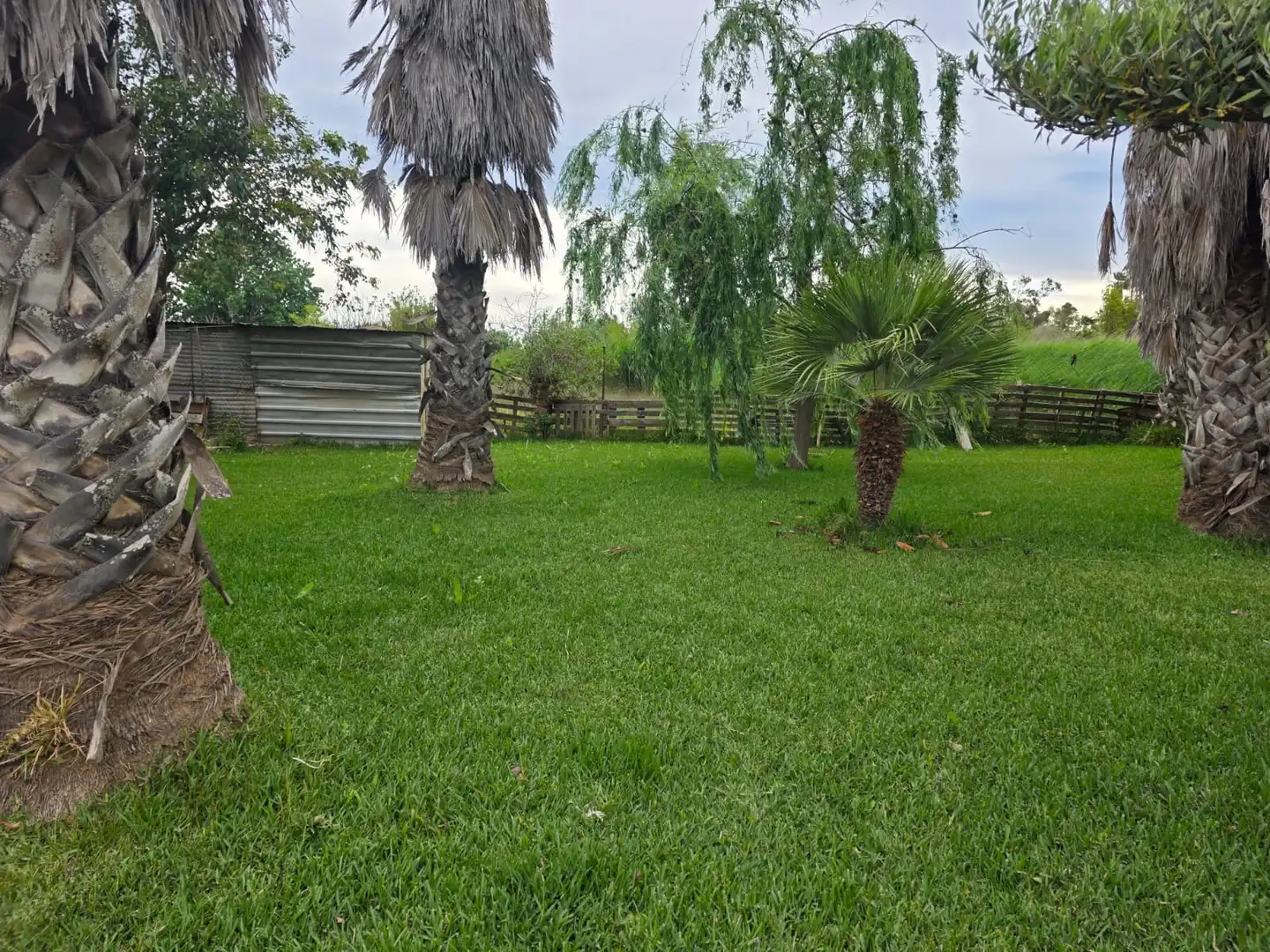 Terreno en venta en Amposta