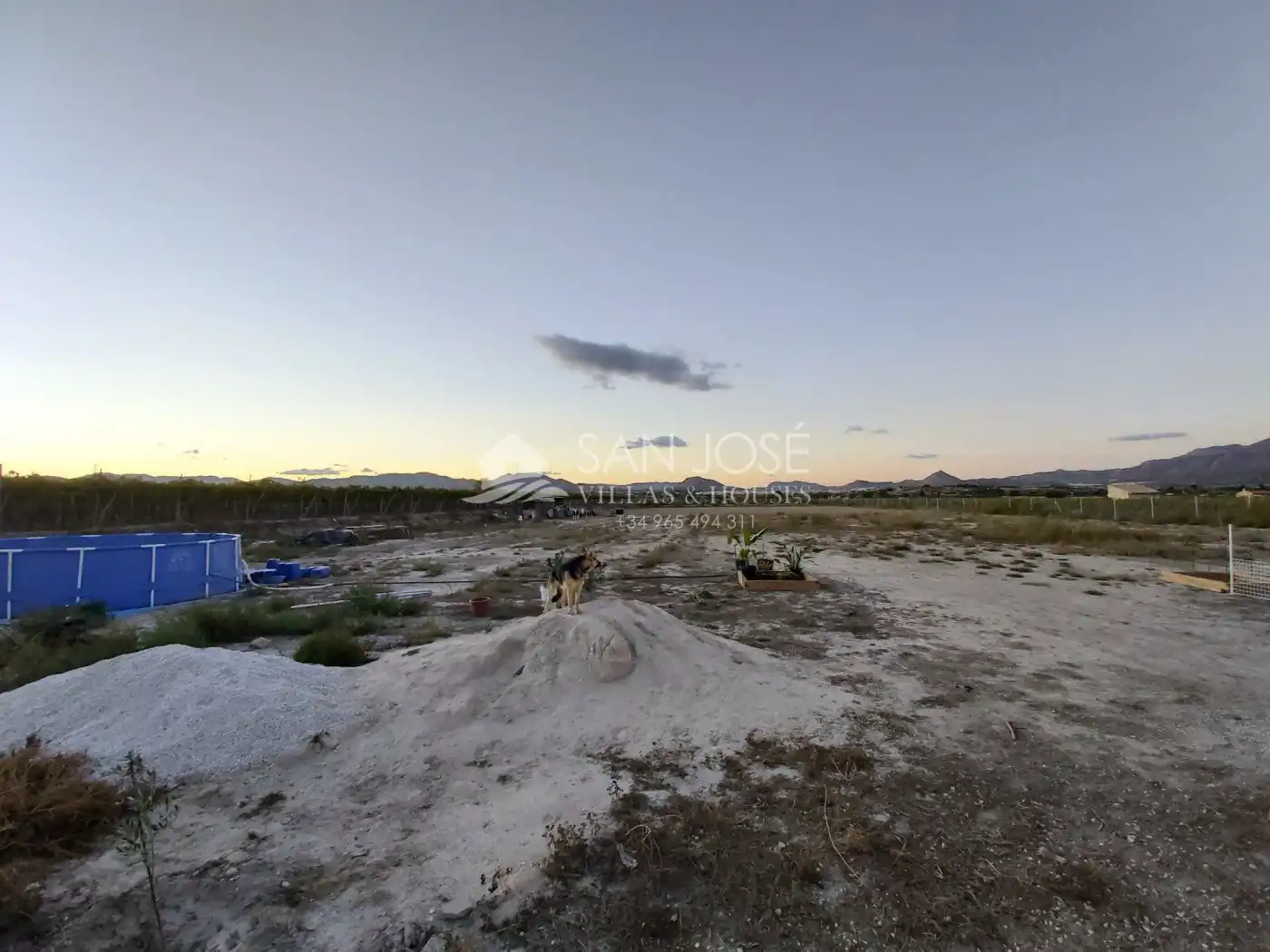 Buildings for sale in Aspe