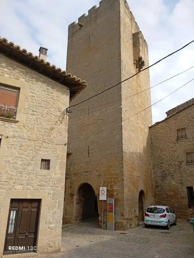 Vista exterior de Casa adosada en venda en Sos del Rey Católico