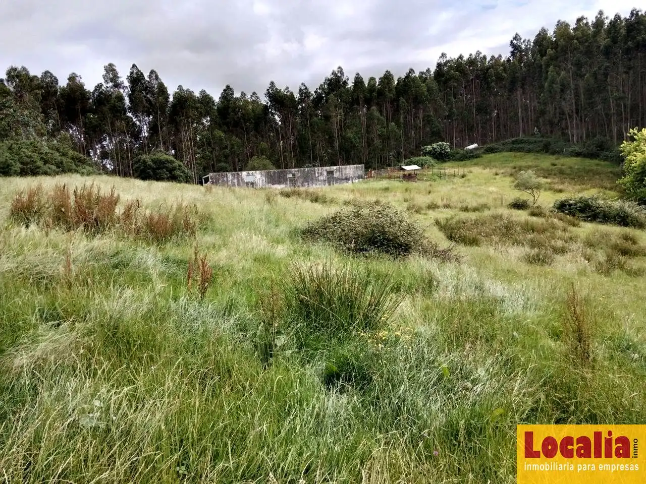 Rural land for sale in Oruña, imagen 5
