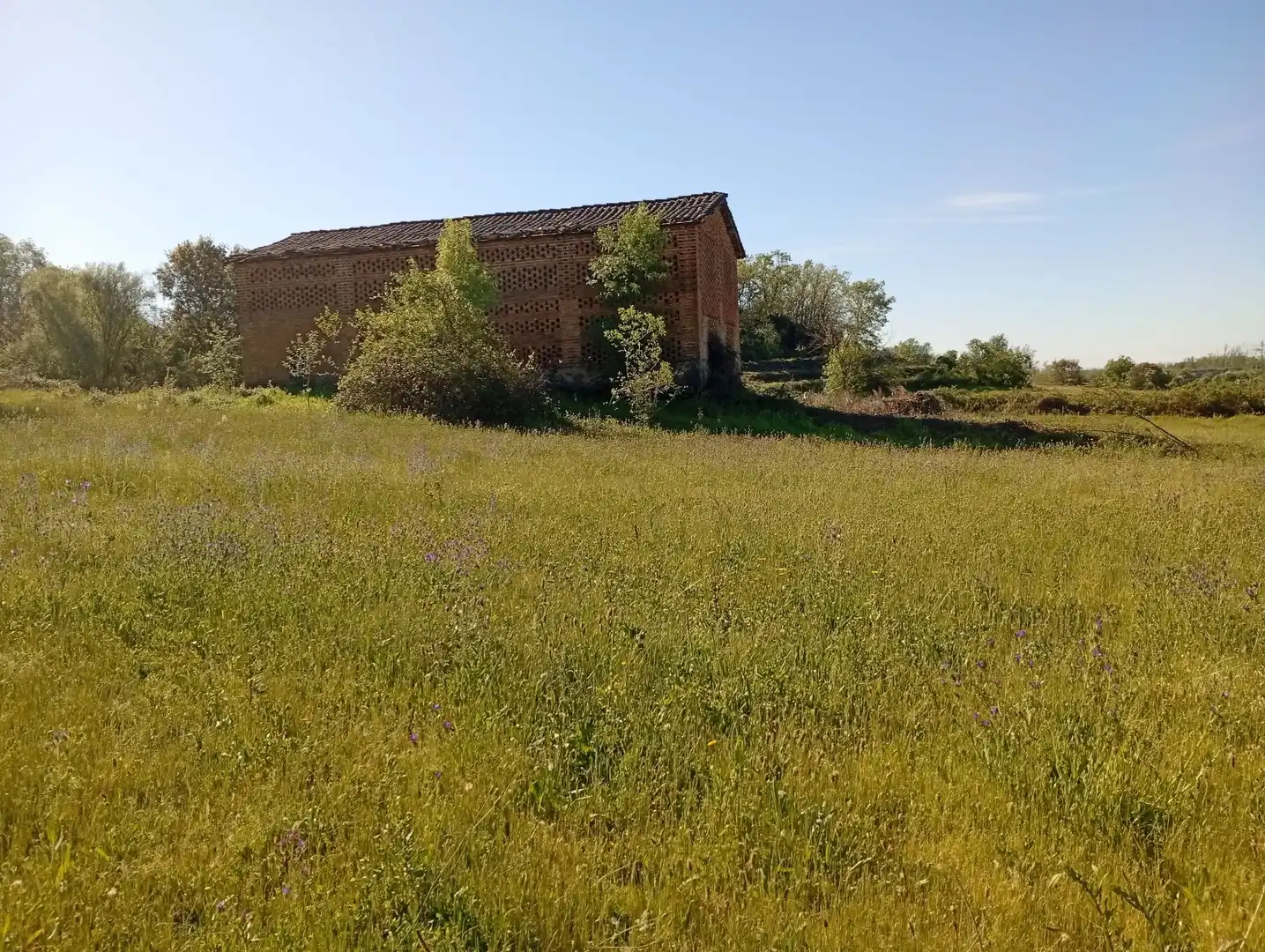 Terreni e lotti in vendita a Talaveruela de la Vera, imagen 62