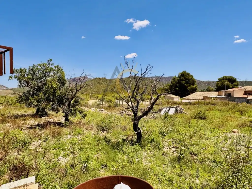 Casa rústica en venta en Partida Romaneta La, imagen 22