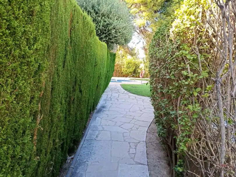 Ático con piscina en venta en Castellvell 1, imagen 6