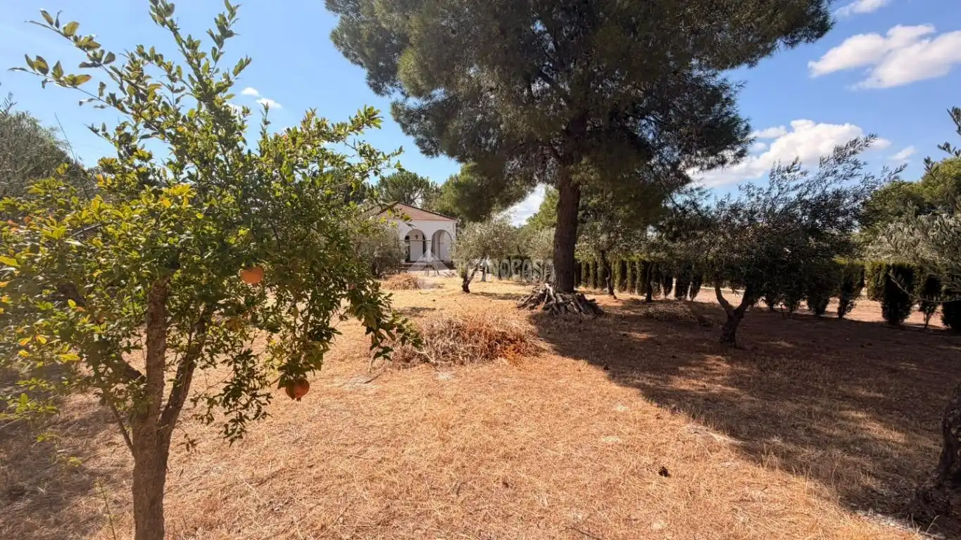 Casa rustica con piscina in vendita a EL ALGARROBO, imagen 36