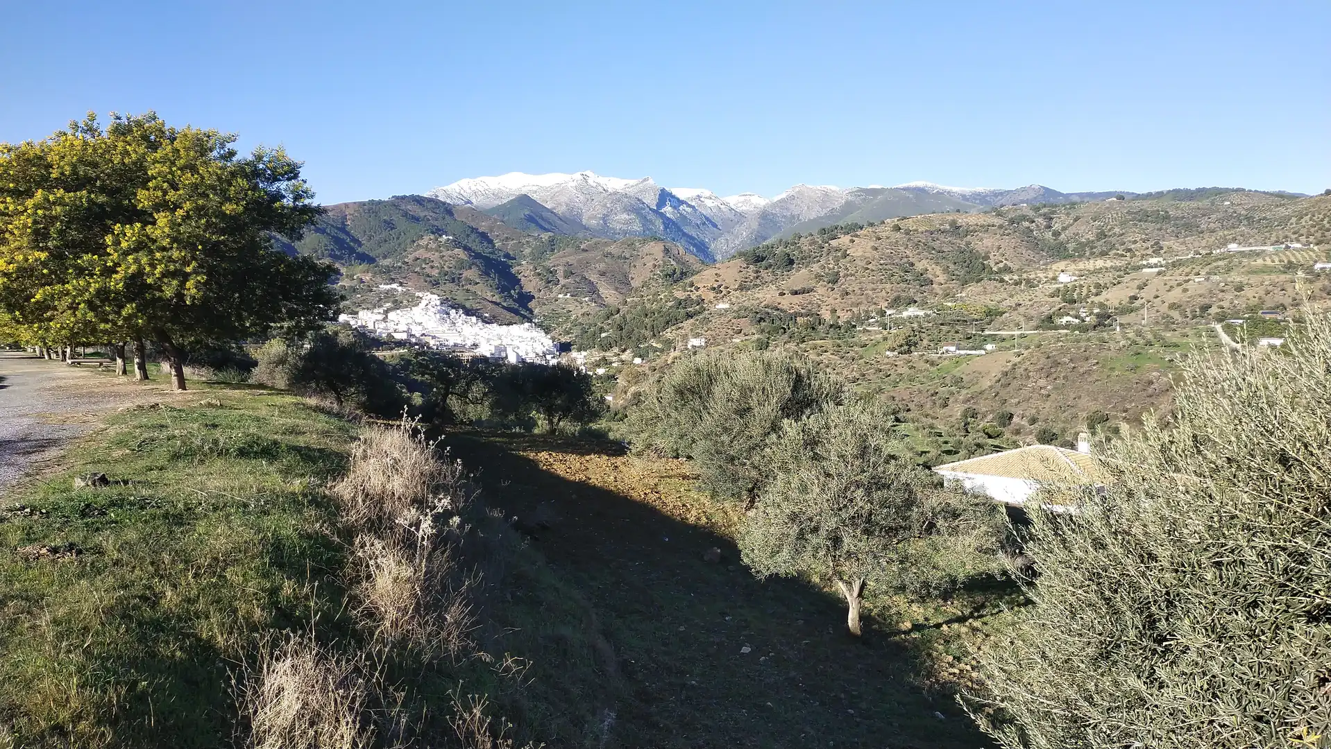 Terreni e lotti in vendita a Avenida de San Roque, imagen 31