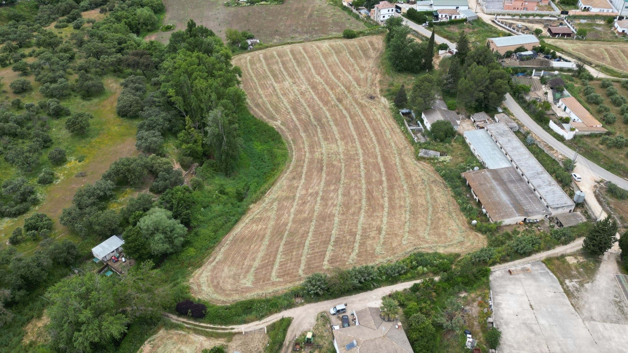 Land for sale in Setenil de las Bodegas