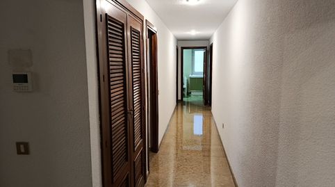 Photo 5 of Flat for rent in Génova, Triana Casco Antiguo, Sevilla Capital