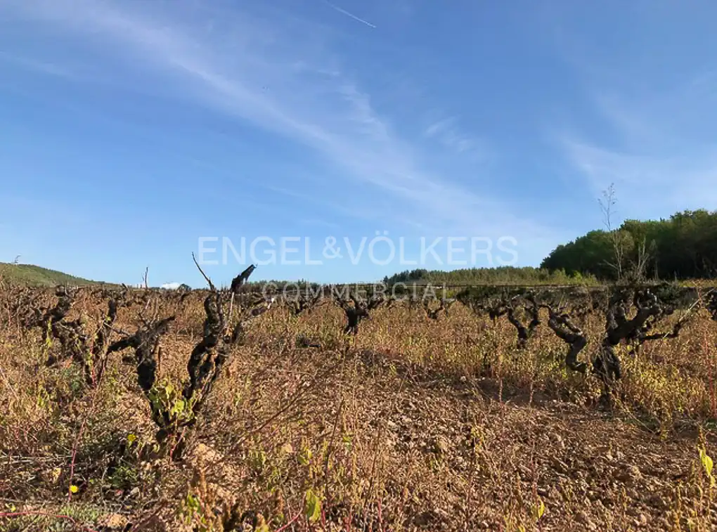Fabrik Grundstücke zum Verkauf in Avinyonet del Penedès