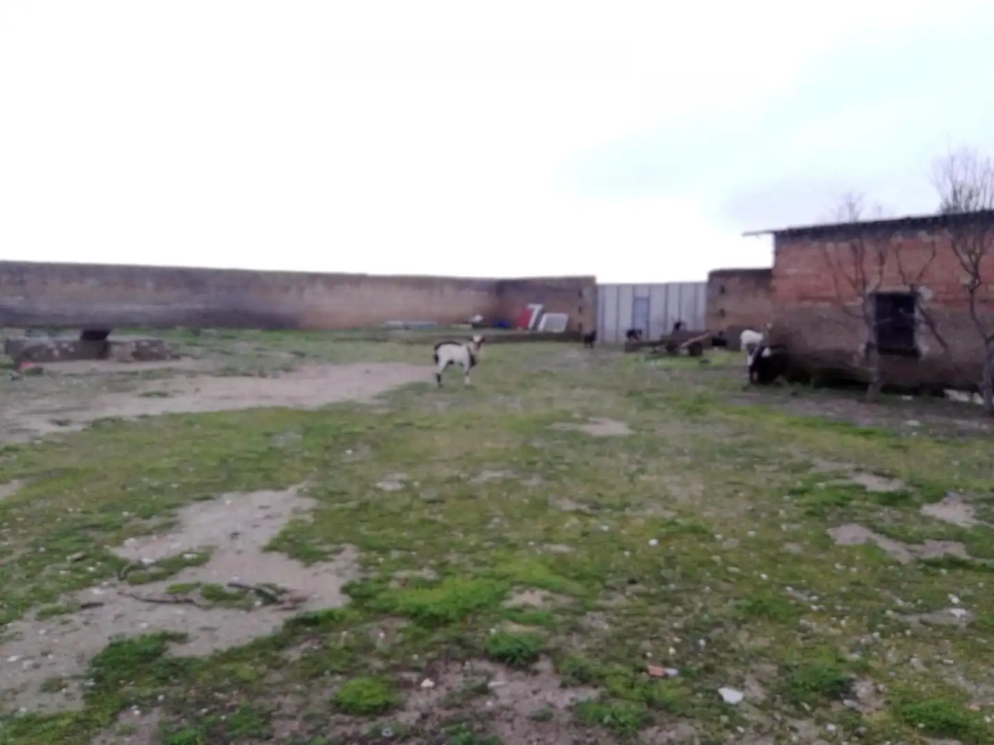 Terreno industrial en venta en Bellvís