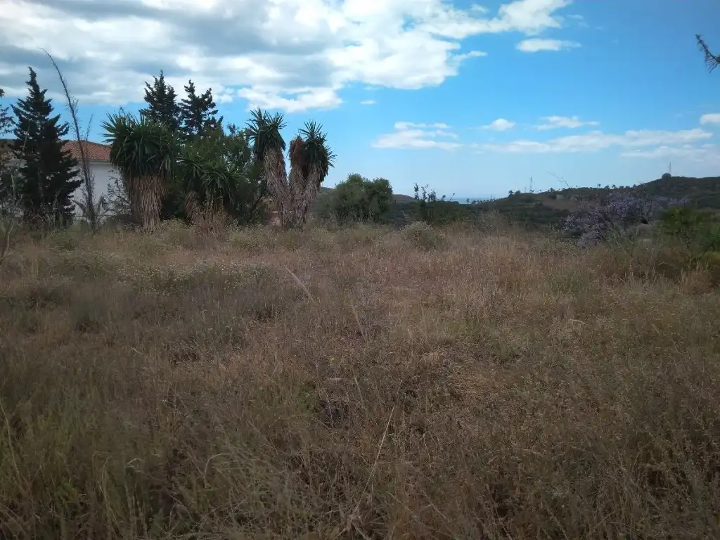 Rural land for sale in Almayate, imagen 5