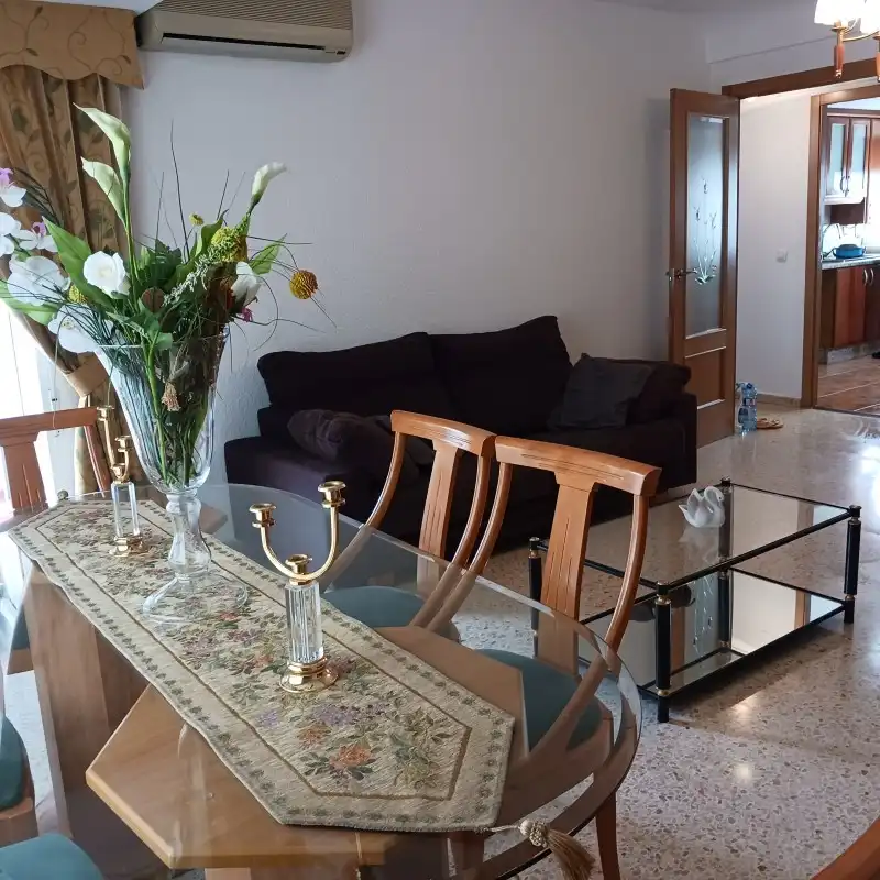 Living room of Flat for rent in Gandia  with Air Conditioner, Terrace and Furnished