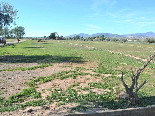 Terreno residencial en Venta en Carril del Pino, -1 en Tercia