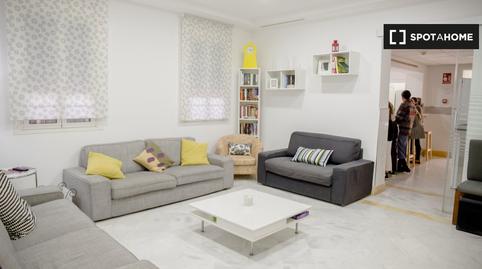 Photo 3 of House or chalet to share in Sector Sur  - La Palmera - Reina Mercedes,  Sevilla Capital