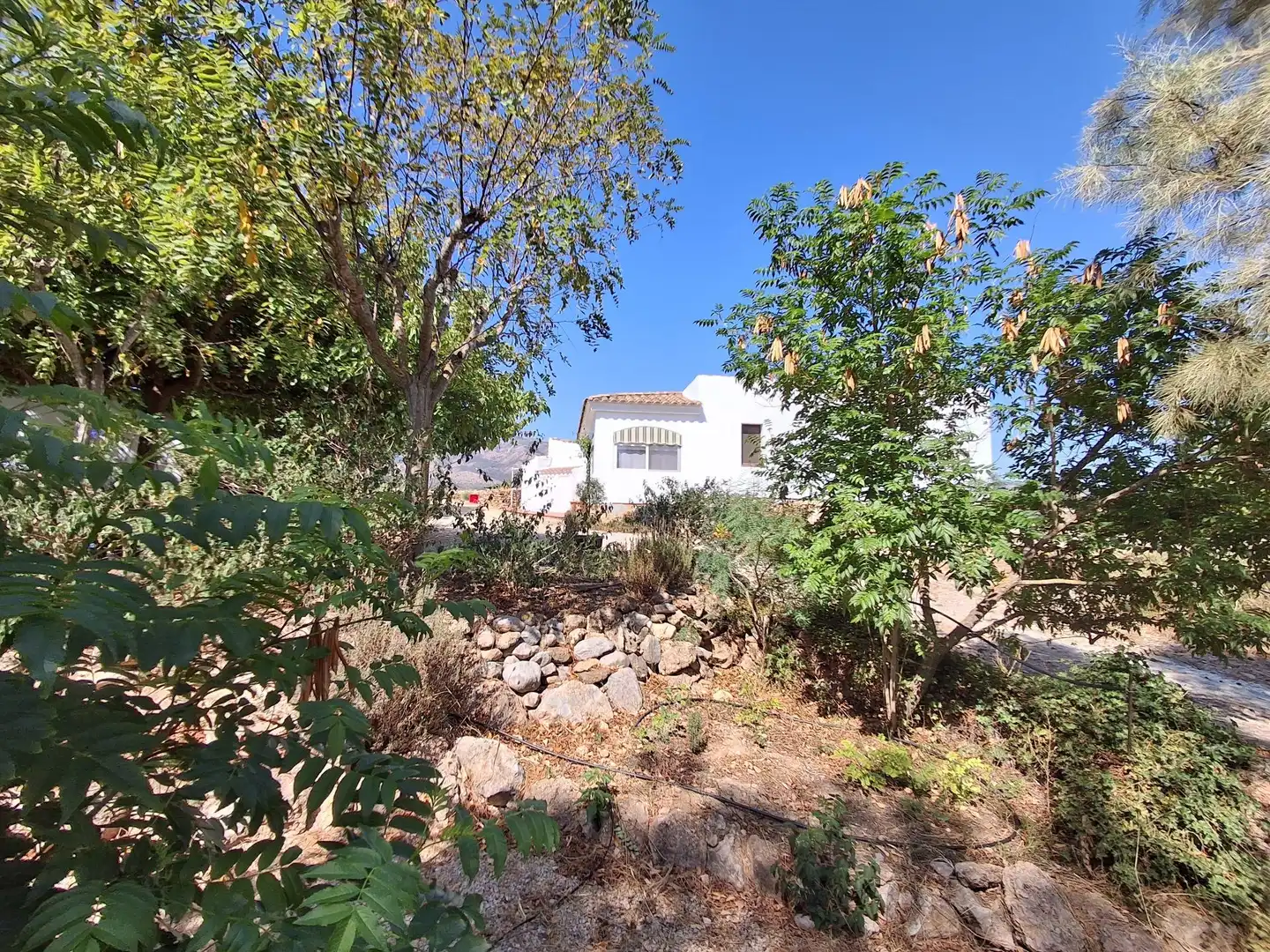 Garden of Houses for sale in Xerta