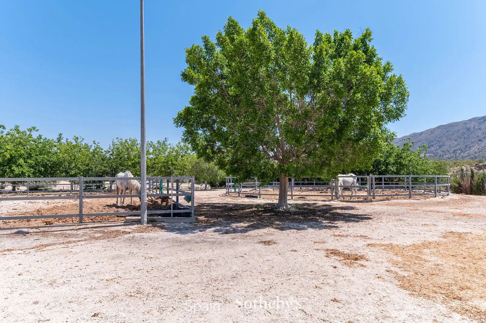 Maison avec piscine à vendre à Camí del Rebolledo, imagen 42