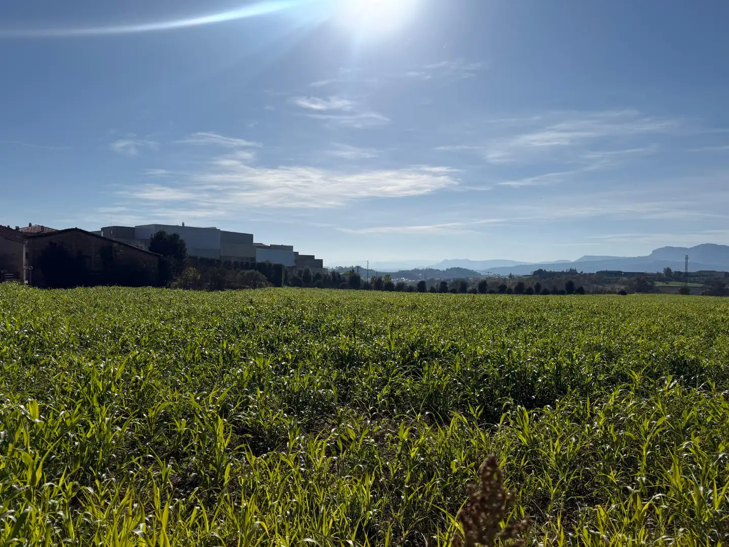 Rustikales Grundstück zum Verkauf in Sant Vicenç de Torelló, imagen 10