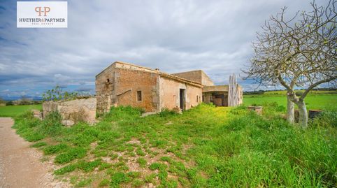 Foto 2 de Finca rústica en venda a Manacor Centre, Manacor
