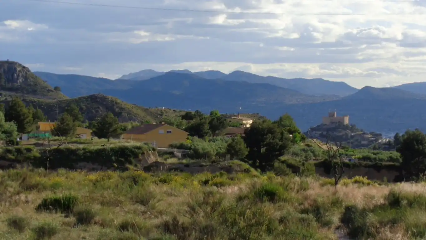Terreno rustico in vendita a Partida CARREFOUR - FIGUERALET