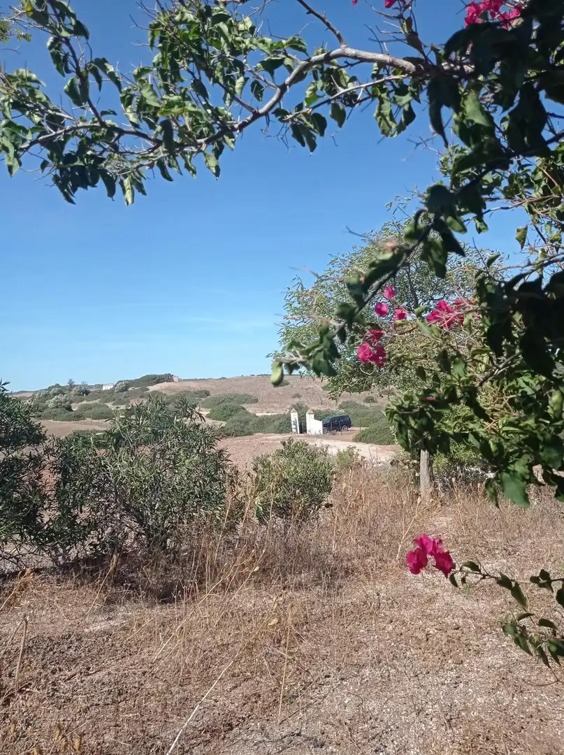 Terreny residencial en venda a Medina Sidonia, imagen 6