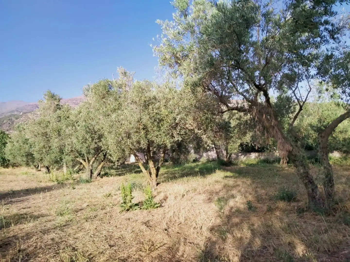 Residencial en venda a Nigüelas