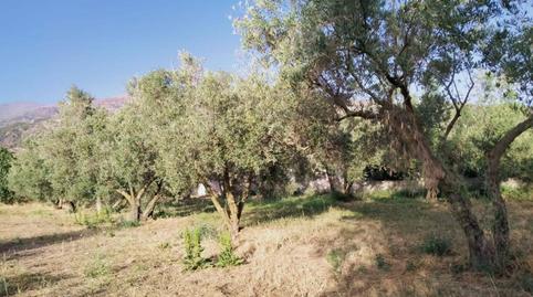 Foto 4 de Residencial en venta en Nigüelas, Granada