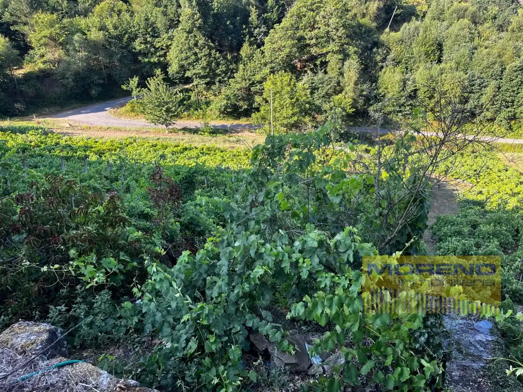 Country house for sale in Paradela, imagen 24