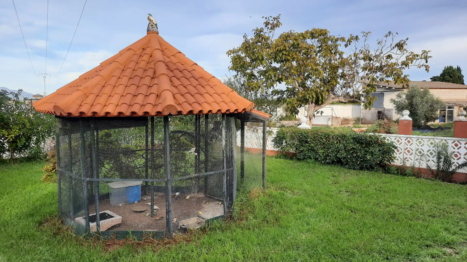 Jardí de Casa o xalet en venda en Vinaròs amb Calefacció, Jardí privat i Terrassa