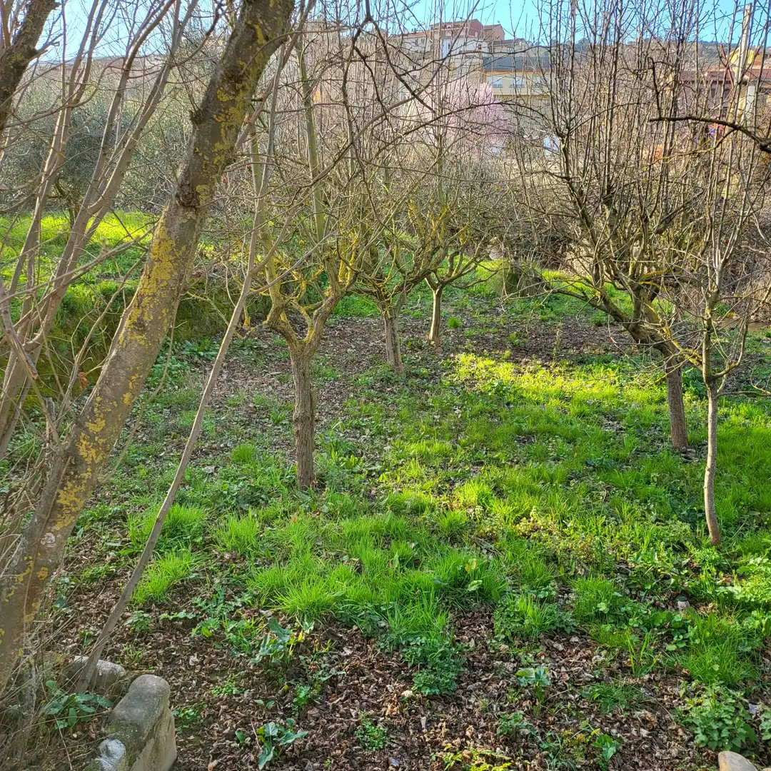 Terreno en venta en Hormilleja