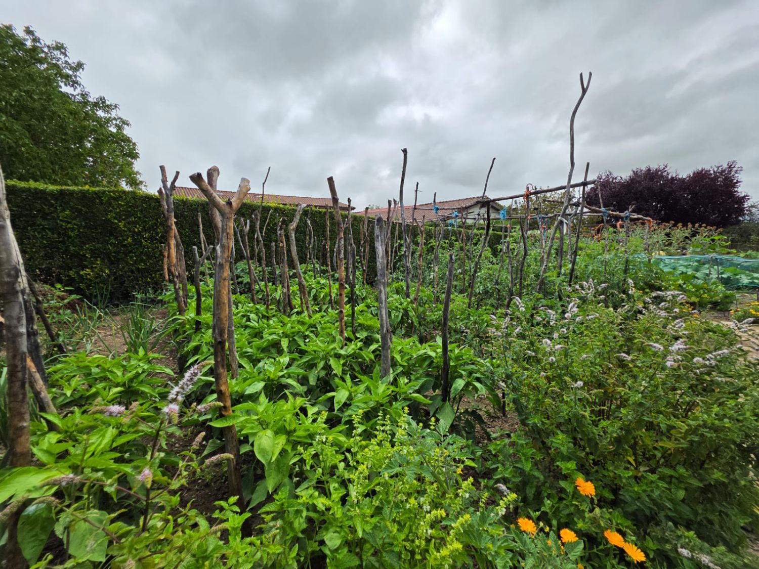 Garden of House or chalet for sale in Arrazua-Ubarrundia  with Heating, Terrace and Storage room