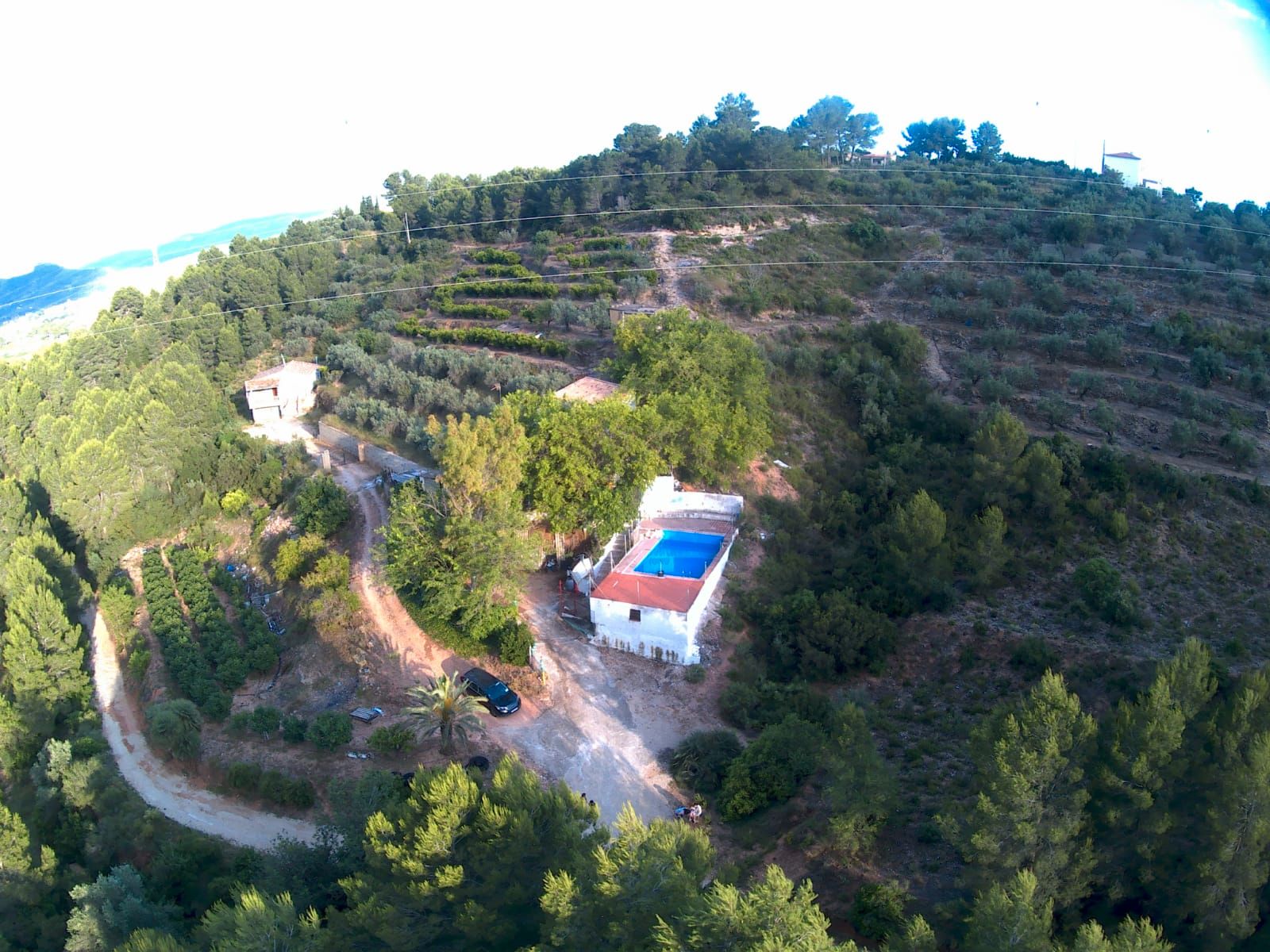 Garden of Country homes for sale in L'Alcúdia de Crespins