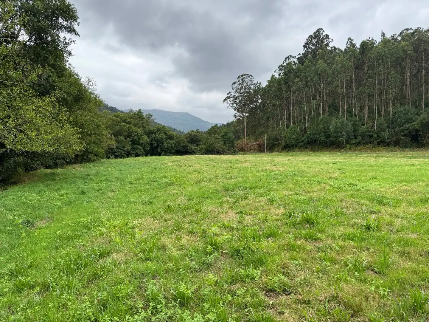 Land for sale in Mondoñedo