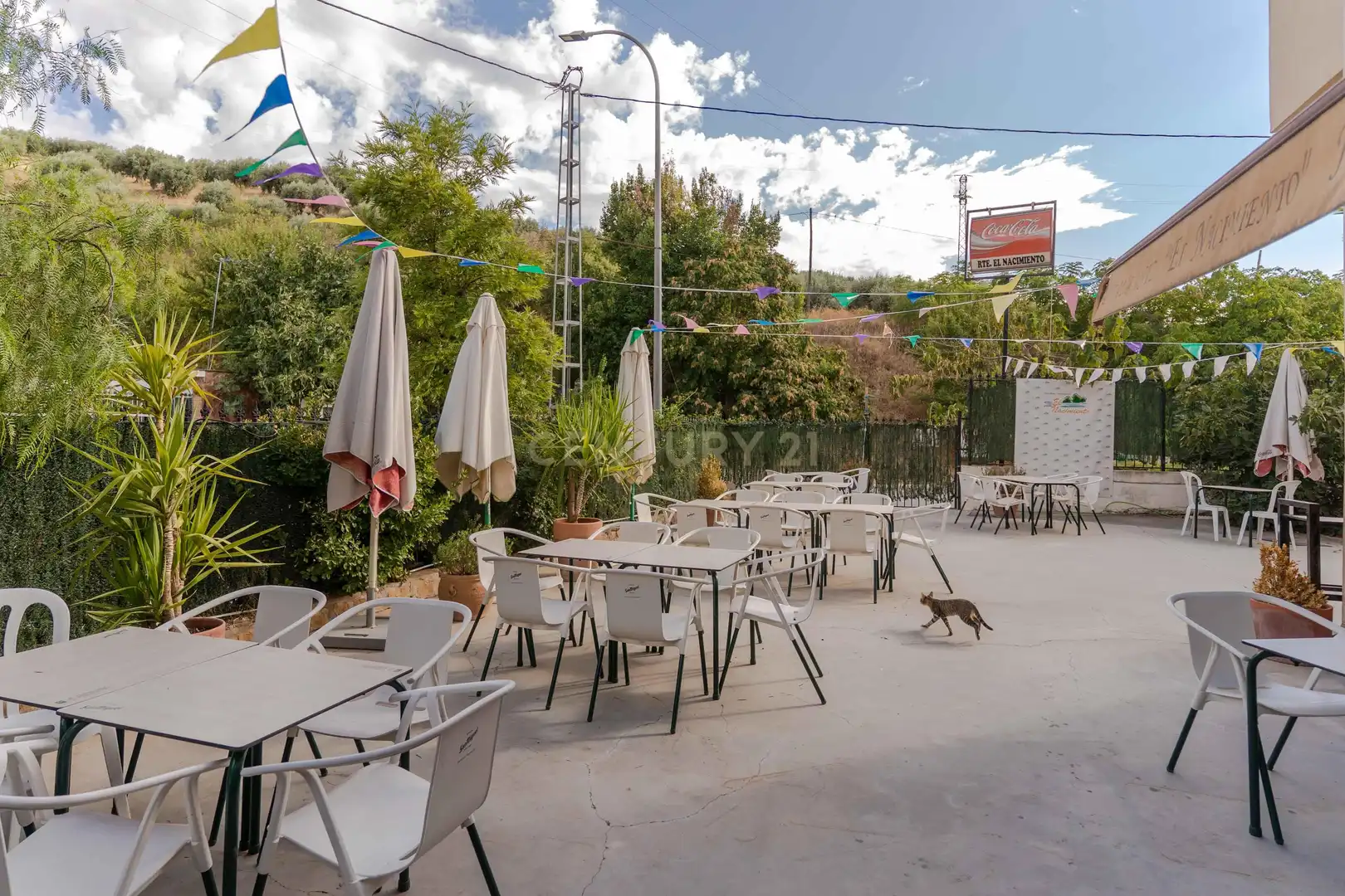 Hotel con ascensore in vendita a Av. del Nacimiento, 77, 18570 Deifontes, Granada, Spain 77, imagen 126
