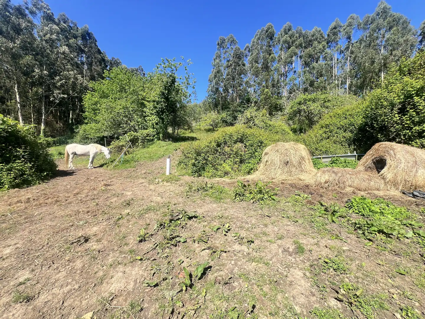 Detached homes for sale in Castrillón