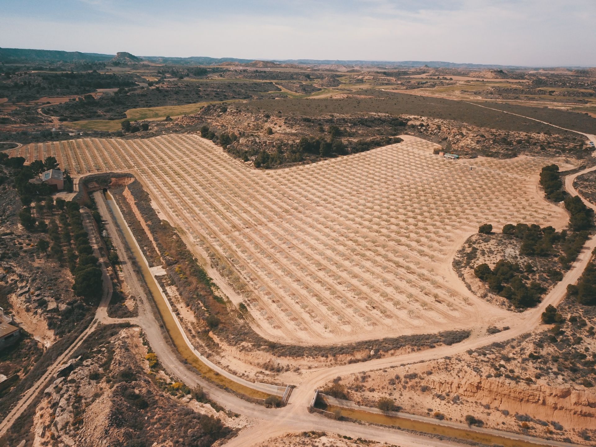 Land for sale in Caspe