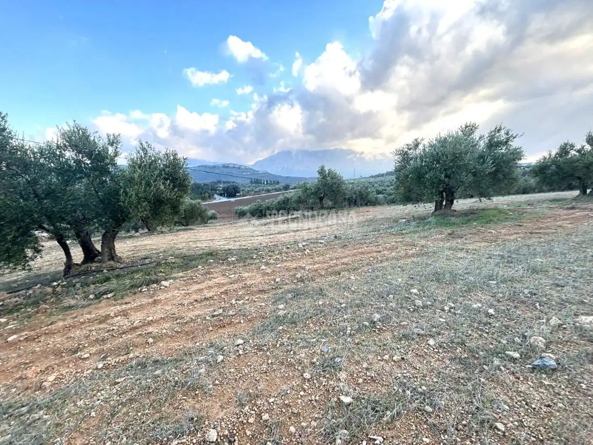 Terreni e lotti in vendita a Centro, imagen 22