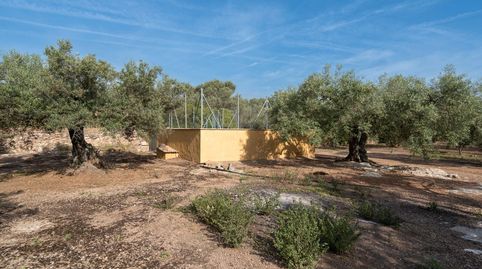Finca con agua de riego y balsa, immagine 4