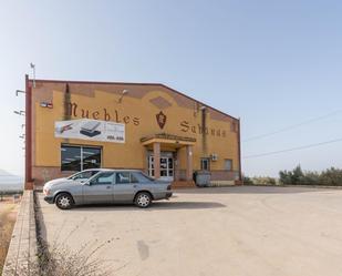 Exterior view of Industrial buildings for sale in Iznalloz