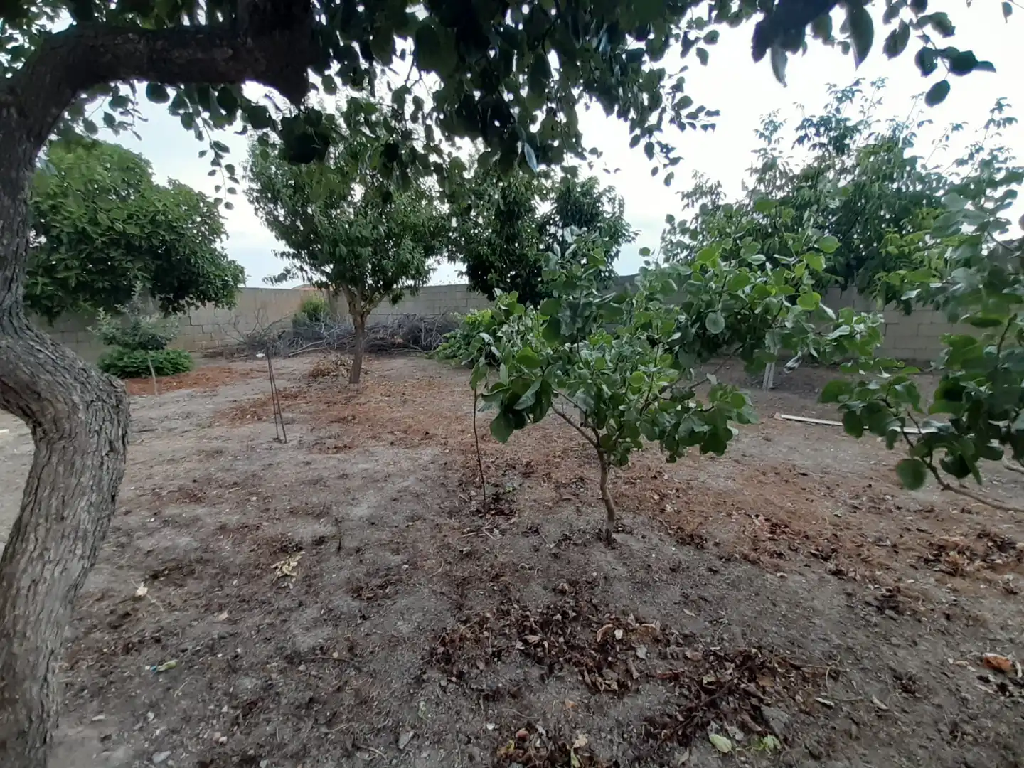Casa o xalet en venda en Piedrahita de Castro amb Calefacció i Jardí privat